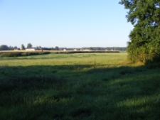 Łąka 2 [fotografia]