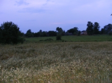 Lubenka 3 [fotografia]