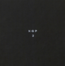 Niezależna Grupa Plenerowa NGP : Nr 2