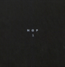 Niezależna Grupa Plenerowa NGP : Nr 1