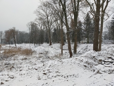 Wały obronne okalające "park radziwiłłowski" - 10 stycznia 2021 r. [fotografia]