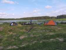 Sobiborski Park Krajobrazowy - Ż&oacute;łwiowe Błota - [fotografia]