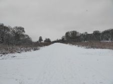Ścieżka rowerowa nad Krzną - 13 grudnia 2020 r. [fotografia]
