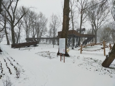 "Małpi gaj" - 12 grudnia 2020 r. [fotografia]