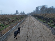 Scieżka rowerowa nad Krzną - 6 listopada 2020 r. [fotografia]