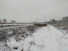 Łaki nad Krzną - 12 grudnia 2020 r. [fotografia]