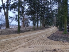 Prace rewitalizacyjne w parku radziwiłłowskim - 2 grudnia 2020 r. [fotografia]