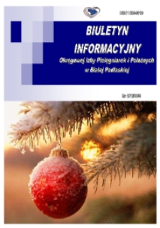 Biuletyn Informacyjny Okręgowej Izby Pielęgniarek i Położnych (2009) nr 4 (72)