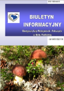 Biuletyn Informacyjny Okręgowej Izby Pielęgniarek i Położnych (2013) nr 3 (87)