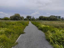 Scieżka rowerowa nad Krzną - 17 sierpnia 2021 r. [fotografia]