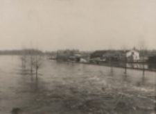 Wiosenny wylew Krzny w Białej Podlaskiej [fotografia]