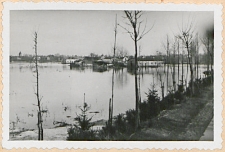 Wiosenny wylew Krzny w Białej Podlaskiej [fotografia]