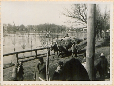Wiosenny wylew Krzny w Białej Podlaskiej [fotografia]