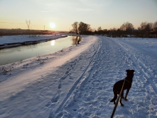 Ścieżka rowerowa znajdująca się między "parkiem radziwiłłowskim" a Krzną - 18 lutego 2021 r. [fotografia]