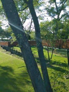 Popołudniowe słońce