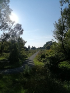 Ścieżka rowerowa na przeciwko Małpiego Gaju