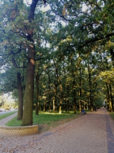 Park Zofii 2