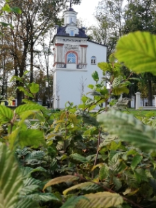 Park radziwiłłowski 2