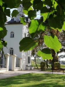 Park radziwiłłowski 1