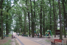Las Zofii w Białej Podlaskiej