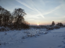 Łąka nad Krzną - 1 lutego 2021 r. [fotografia]