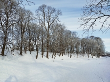 Okolice parku radziwiłłowskiego - 22 marca 2021 r. [fotografia]