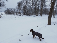 Okolice parku radziwiłłowskiego - 11 lutego 2021 r. [fotografia]
