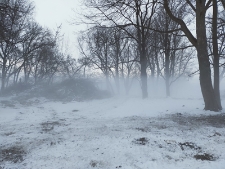 Park radziwiłłowski - 18 lutego 2021 r. [fotografia]