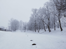 Fosa okalająca "park radziwiłłowski" -25 stycznia 2021 r. [fotografia]