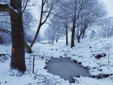 Prace rewitalizacyjne w "parku radziwiłłowskim" - 25 stycznia 2021 r. [fotografia]