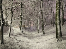 Okolice "parku radziwiłłowskiego" - 26 stycznia 2021 r. [fotografia]