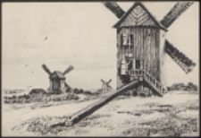 Wiatraki : [pocztówka]