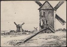 Wiatraki : [pocztówka]