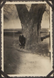 Fotografie z albumu rodziny Stanisławy Ladwiniec z Białej Podlaskiej : Stanisława Ladwiniec