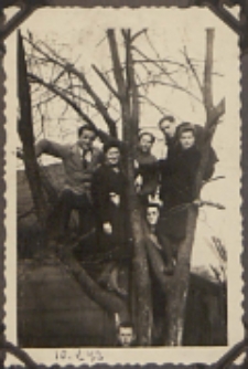 Fotografie z albumu rodziny Stanisławy Ladwiniec z Białej Podlaskiej : na drzewie na podwórku przy ul. Nowej w Białej Podlaskiej