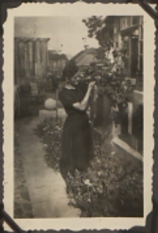 Fotografie z albumu rodziny Stanisławy Ladwiniec z Białej Podlaskiej : Stanisława Ladwiniec