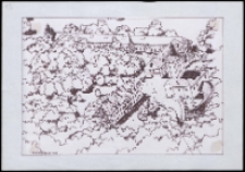 Park Radziwiłłowski w Białej Podlaskiej