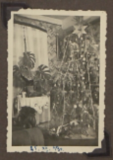 Fotografie z albumu rodziny Stanisławy Ladwiniec z Białej Podlaskiej : Boże Narodzenie w domu Ladwińców przy ul. Nowej