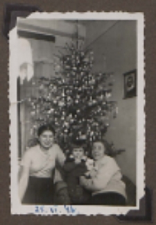 Fotografie z albumu rodziny Stanisławy Ladwiniec z Białej Podlaskiej : rodzina przy świątecznej choince