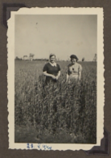 Fotografie z albumu rodziny Stanisławy Ladwiniec z Białej Podlaskiej : Stanisława Ladwiniec z przyjaciółmi na spacerze nad Krzną