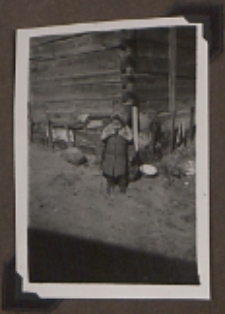 Fotografie z albumu rodziny Stanisławy Ladwiniec z Białej Podlaskiej: Zbigniew Ladwiniec na podwórku domu rodzinnego Ladwińców przy ul. Nowej