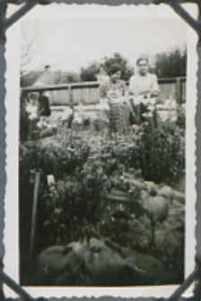 Fotografie z albumu rodziny Stanisławy Ladwiniec z Białej Podlaskiej : Stanisława Ladwiniec w ogródku domu rodzinnego przy ul. Nowej