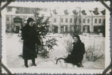 Fotografie z albumu rodziny Stanisławy Ladwiniec z Białej Podlaskiej: pracownie Składu Materiałów Aptecznych i Farb J. Lisowskiej z sankami na Placu Wolności