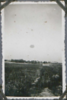 Fotografie z albumu rodziny Stanisławy Ladwiniec z Białej Podlaskiej : panorama Białej Podlaskiej