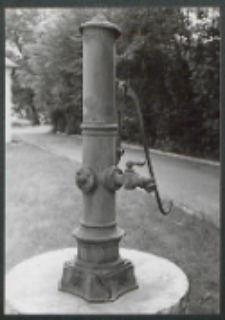 Żeliwna pompa z połowy 19 w. za budynkiem dawnego szpitala św. Karola Boromeusza w Białej Podlaskiej [fotografia]