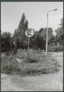 Na terenie zespołu dawnego szpitala św. Karola Boromeusza w Białej Podlaskiej [fotografia]