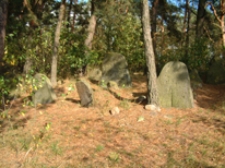 Cmentarz tatarski w Studziance - zbiór fotografii