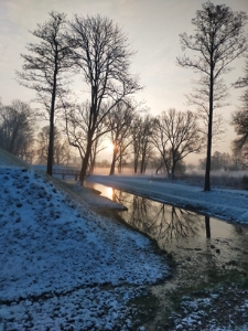 Okolice "parku radzwiłłowskiego" w Białej Podlaskiej - 7 marca 2023 r. [fotografia]