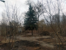 Porządkowanie terenu dawnego Wojewódzkiego Szpitala Zespolonego w Białej Podlaskiej - 14 marca 2023 r. [fotografia]