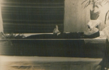 Pogrzeb Zofii Ladwiniec z domu Kokalskiej